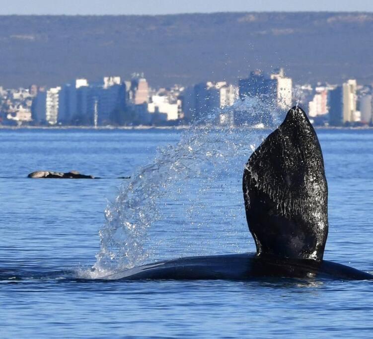 Pequena Casa De Troncos, Detras De Casa Principal No Trabajo Con Tarjeta De Credito Puerto Madryn Kültér fotó